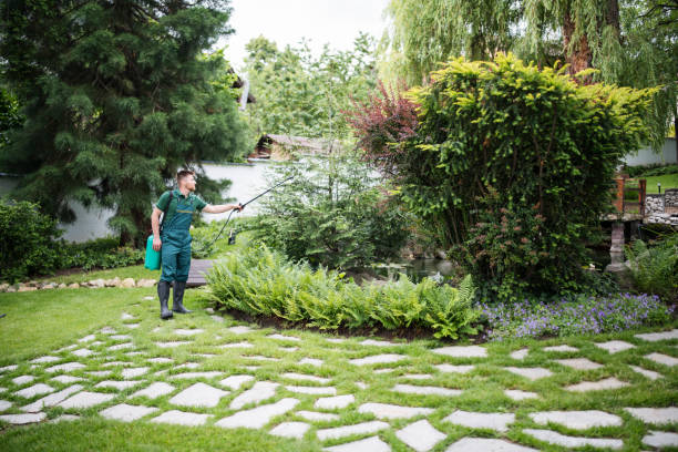 Best Mosquito Control Services  in , WY