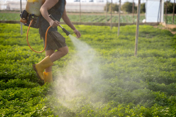 Best Residential Pest Control  in , WY