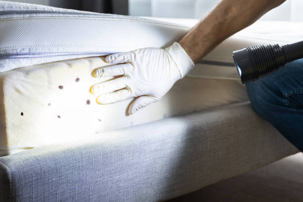 Best Pest Control Cost  in , WY