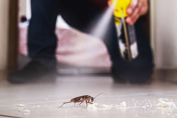 Best Affordable Pest Control Services  in , WY